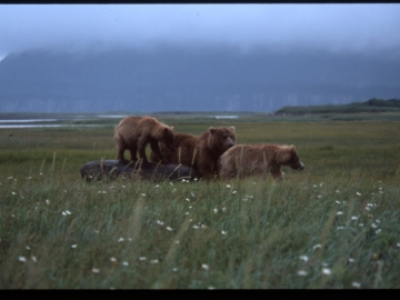 20140430-slides033