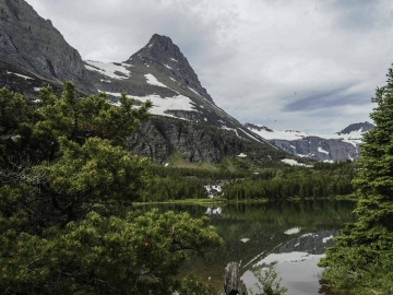 Glacier NP-10