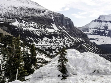 Glacier NP-3