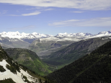 Glacier NP-5