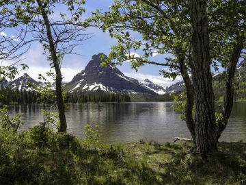 Glacier NP-7