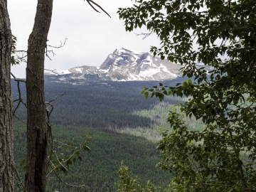 Glacier and Norther Canada-1