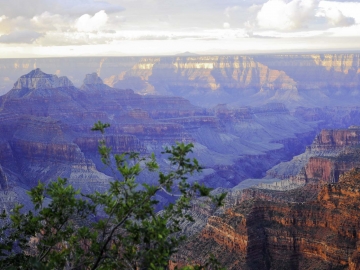 Grand Canyon North Rim-6