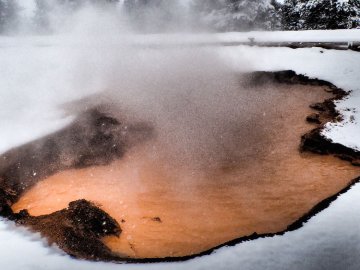 winter-yellowstone-2020-2030047