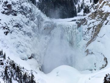 winter-yellowstone-2020-2943