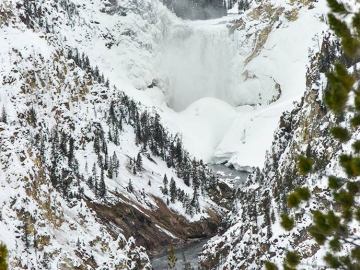 winter-yellowstone-2020-2947