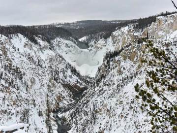 winter-yellowstone-2020-2952