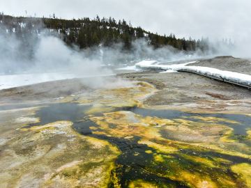 winter-yellowstone-2020-2991