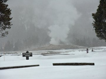 winter-yellowstone-2020-3015