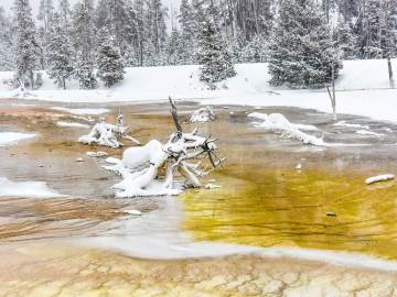 winter-yellowstone-2020-3030